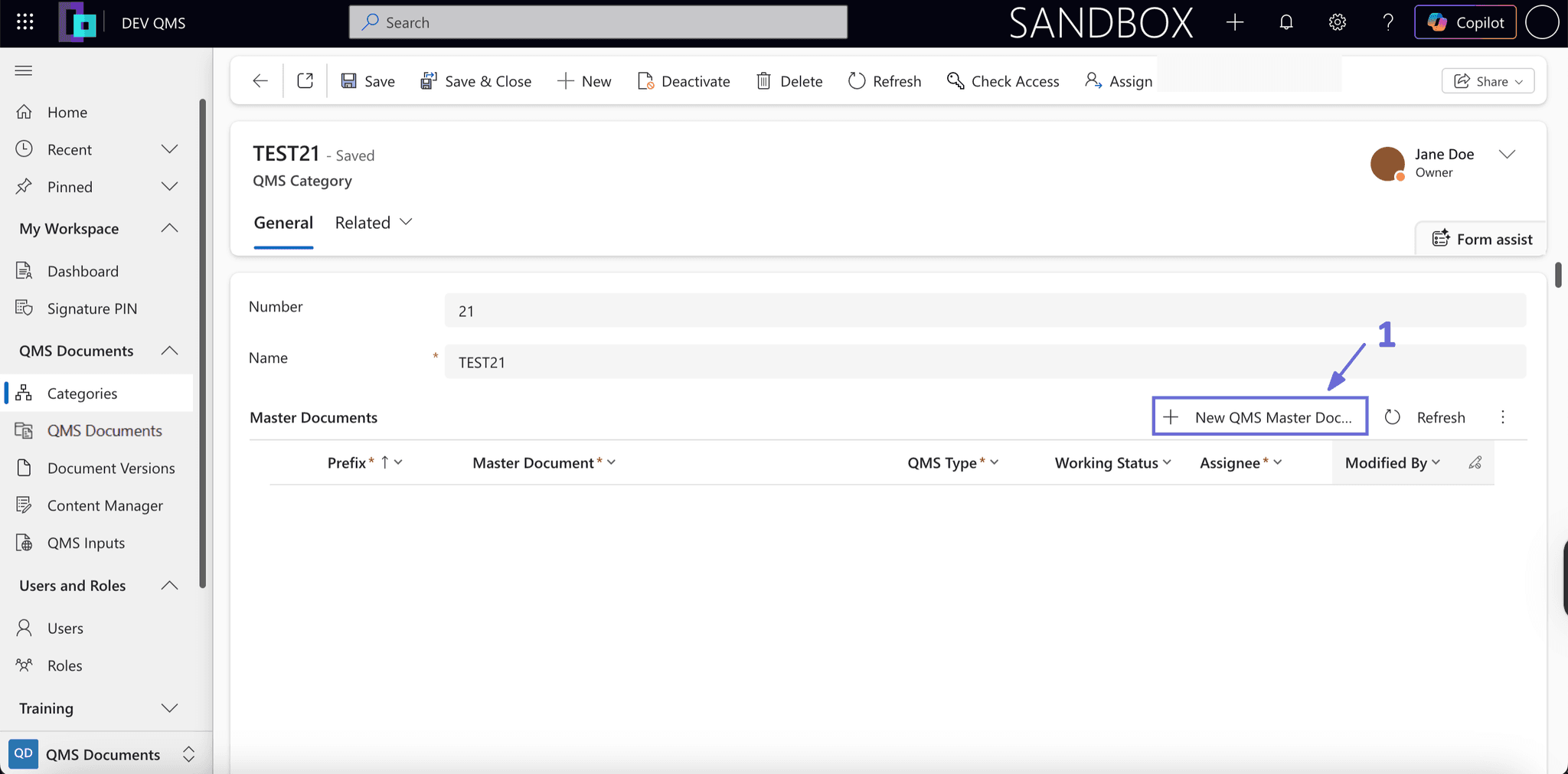 Saved category with the New QMS Master Document command in the Master Documents area.